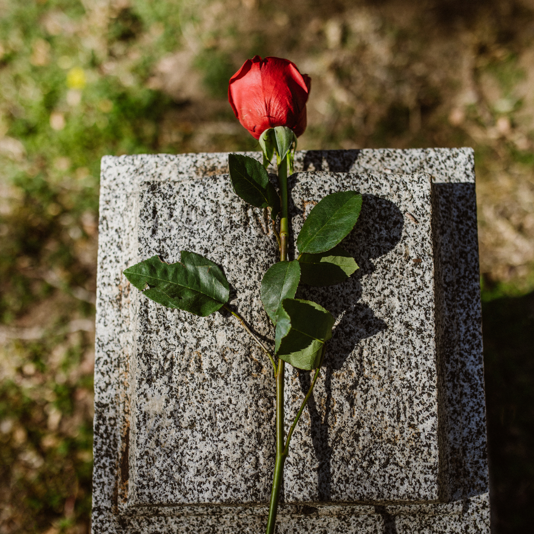 Muerte por Negligencia Image